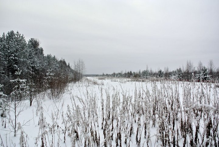 DSC_4214.JPG