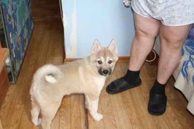 IMG_4894_новый размер.JPG