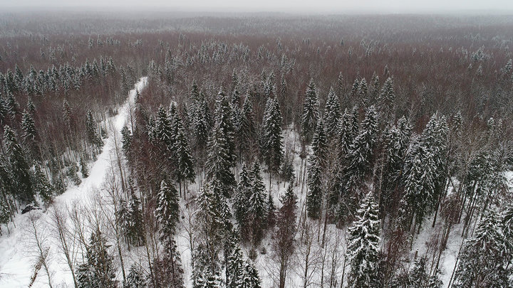DJI_0028.jpg