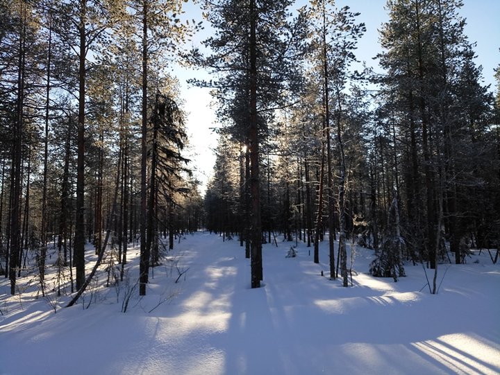 вот такие пейзажи, встретили исследователей