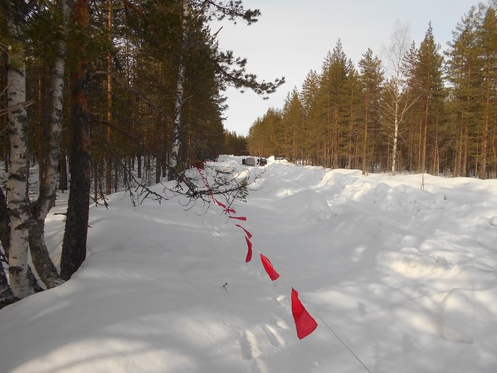 15 флажки.JPG