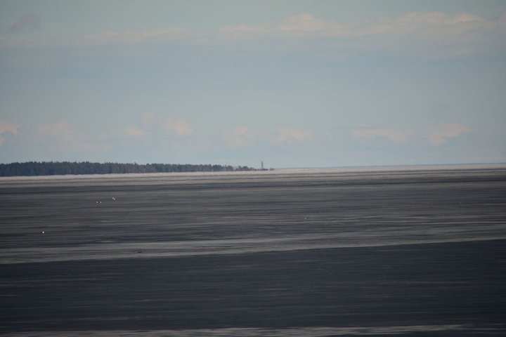DSC_3916.JPG