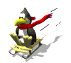 ani-penguin_ride.gif