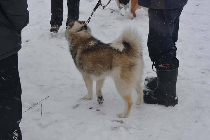 DSC_0044.JPG