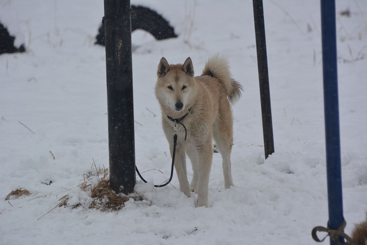 DSC_0065.JPG
