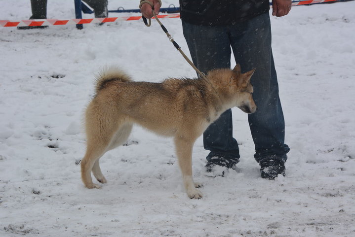 DSC_0095.JPG