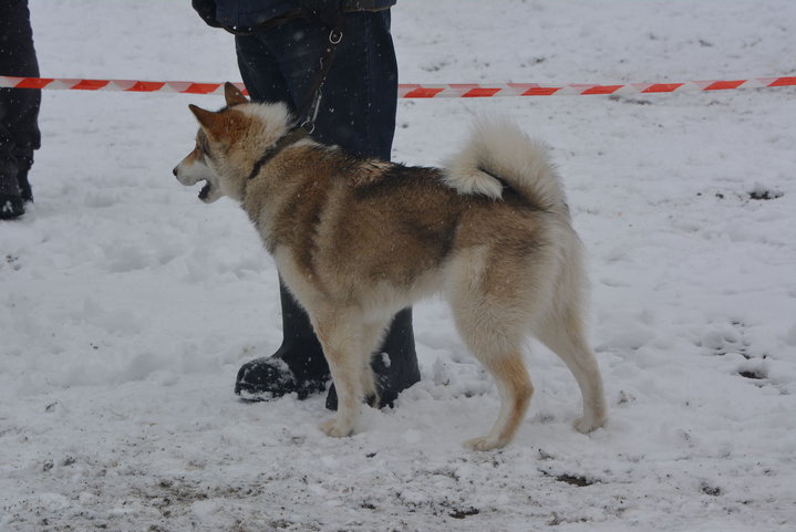 DSC_0096.JPG