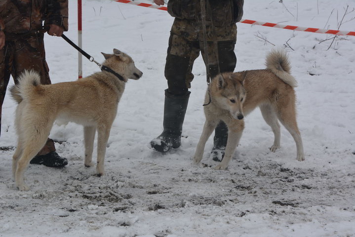 DSC_0097.JPG