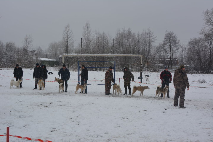 DSC_0098.JPG
