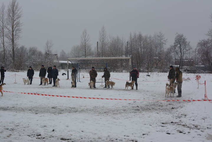 DSC_0100.JPG