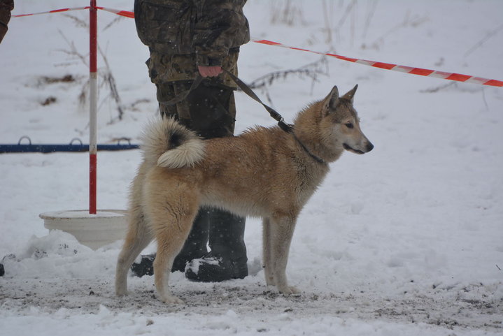 DSC_0104.JPG