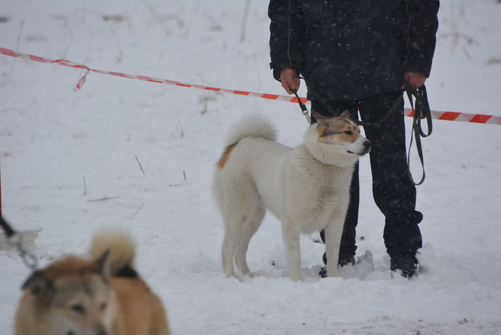 DSC_0107.JPG