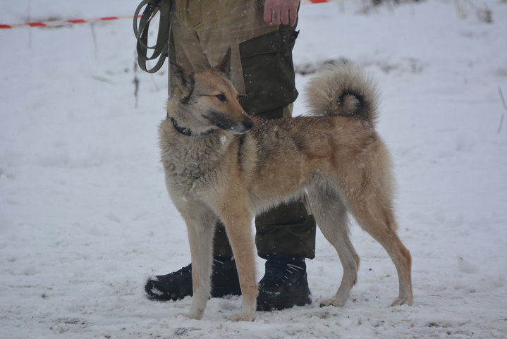 DSC_0111.JPG