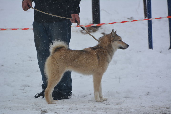 DSC_0113.JPG