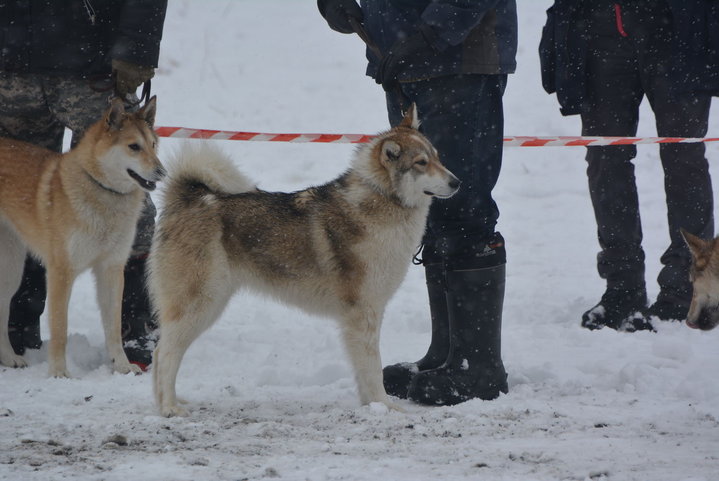 DSC_0115.JPG