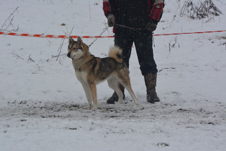 DSC_0124.JPG