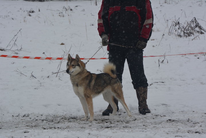 DSC_0125.JPG