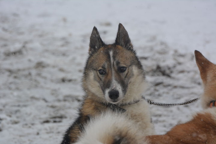 DSC_0127.JPG