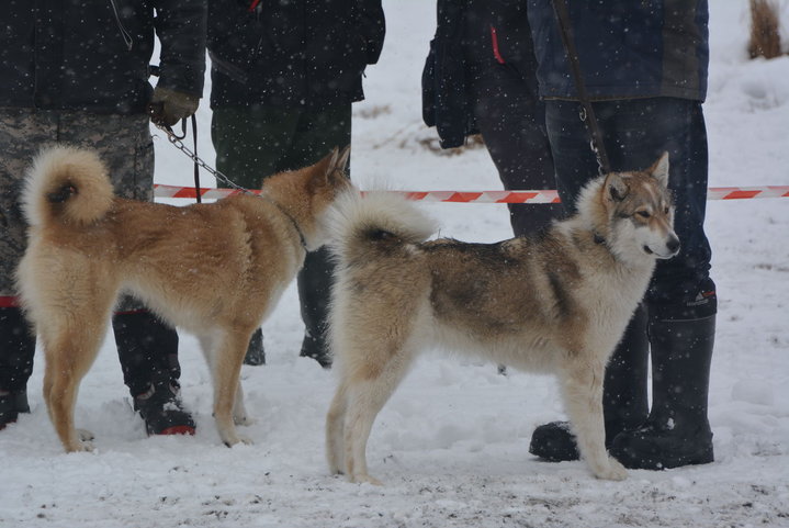 DSC_0130.JPG