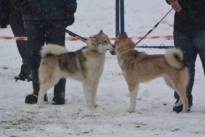 DSC_0134.JPG