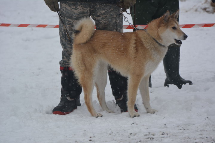 DSC_0136.JPG