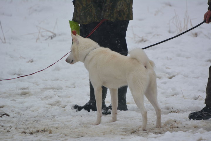 DSC_0137.JPG
