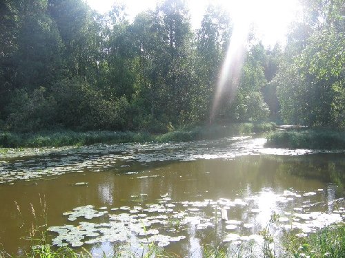 РћСЃС‚СЂРѕРІ.JPG