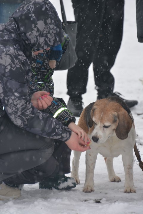 Война - войной, а обед по расписанию!