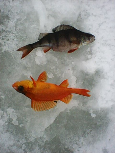 Photo0031.jpg