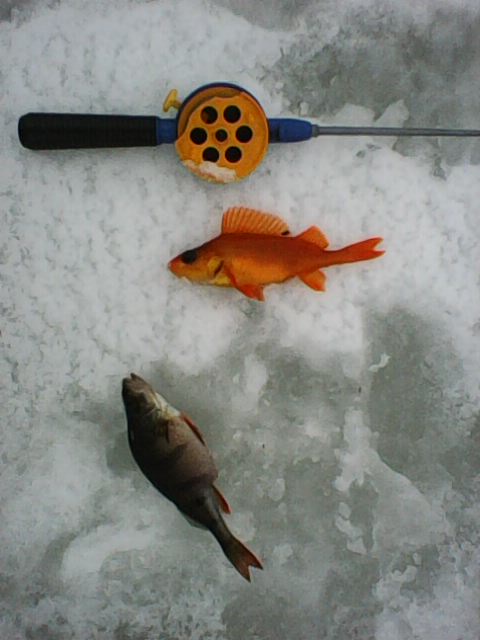 Photo0034.jpg