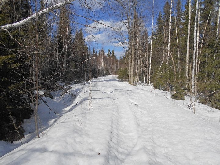DSCN1875.JPG