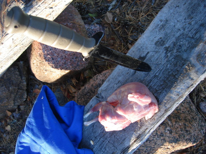 DSC08149.JPG