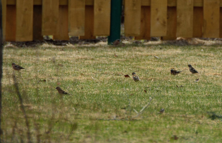 DSC_3981.JPG