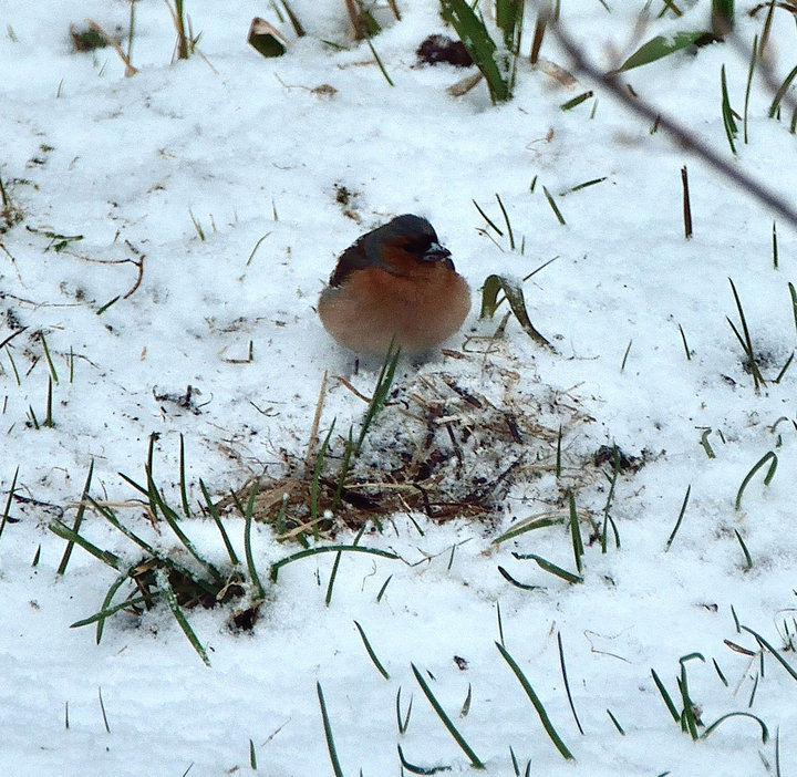 DSC_3987.JPG
