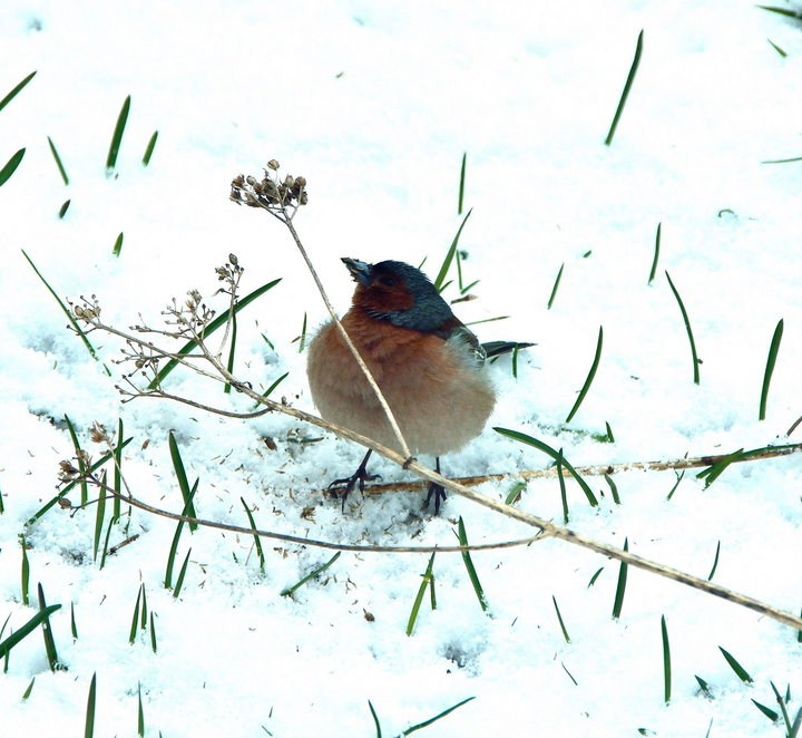 DSC_3993.jpg