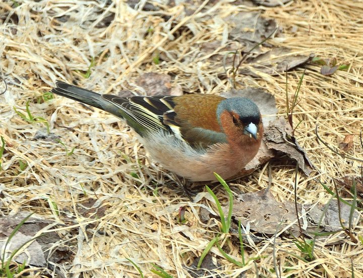 DSC_4012.JPG