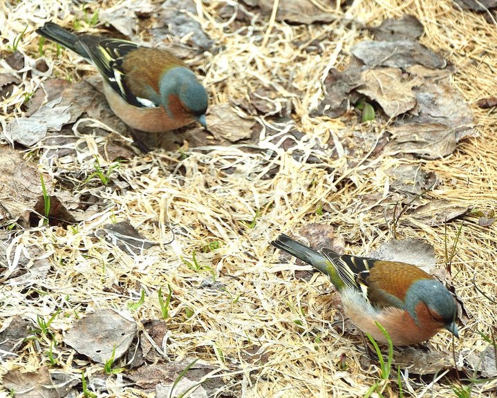 DSC_4015.JPG