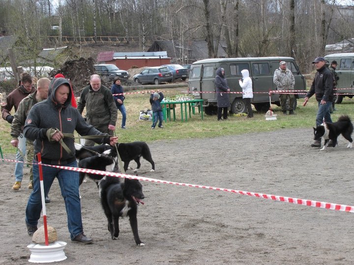 РЕЛ ср коб 1.jpg