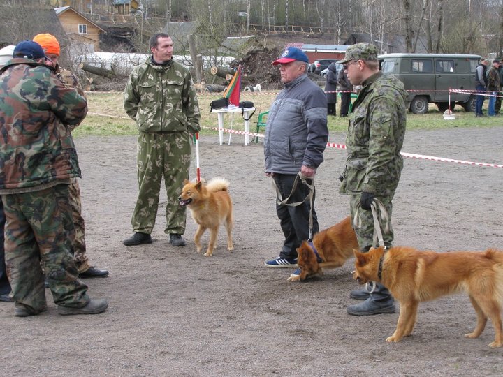 КФЛ мл коб 1.jpg