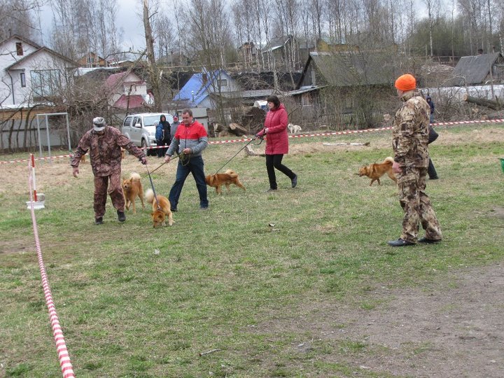 КФЛ ср коб 1.jpg