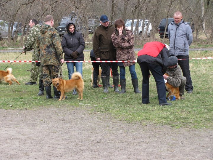 КФЛ ср суки.jpg