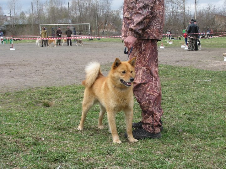Тайфун.jpg