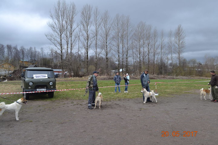 DSC_0466.JPG