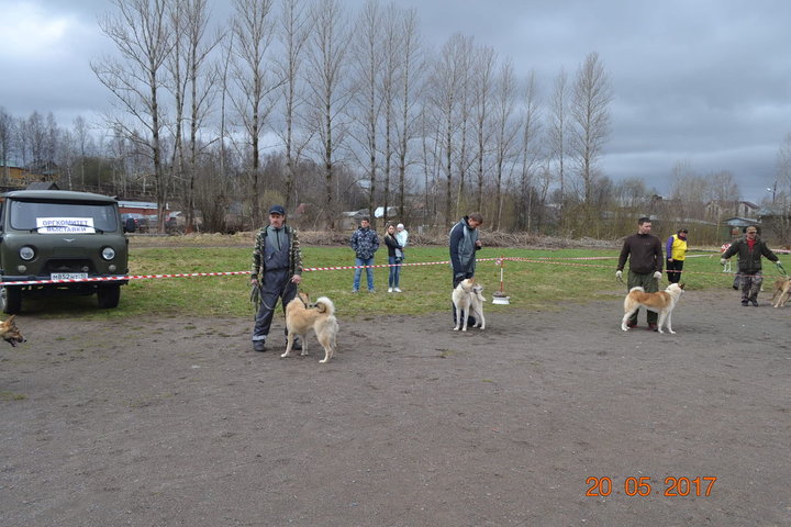 DSC_0468.JPG