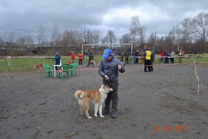 DSC_0470.JPG