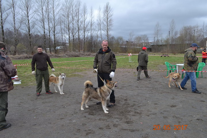 DSC_0472.JPG