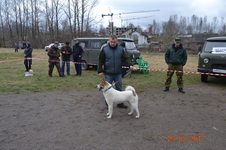 DSC_0476.JPG