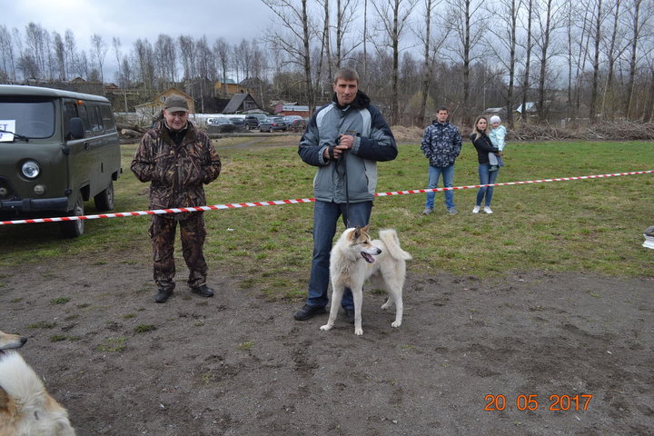 DSC_0478.JPG