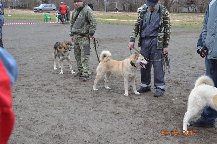 DSC_0534.JPG