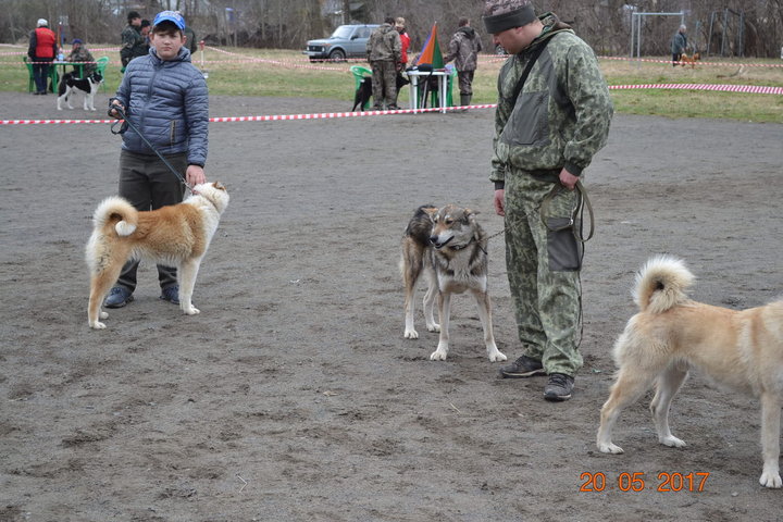 DSC_0535.JPG